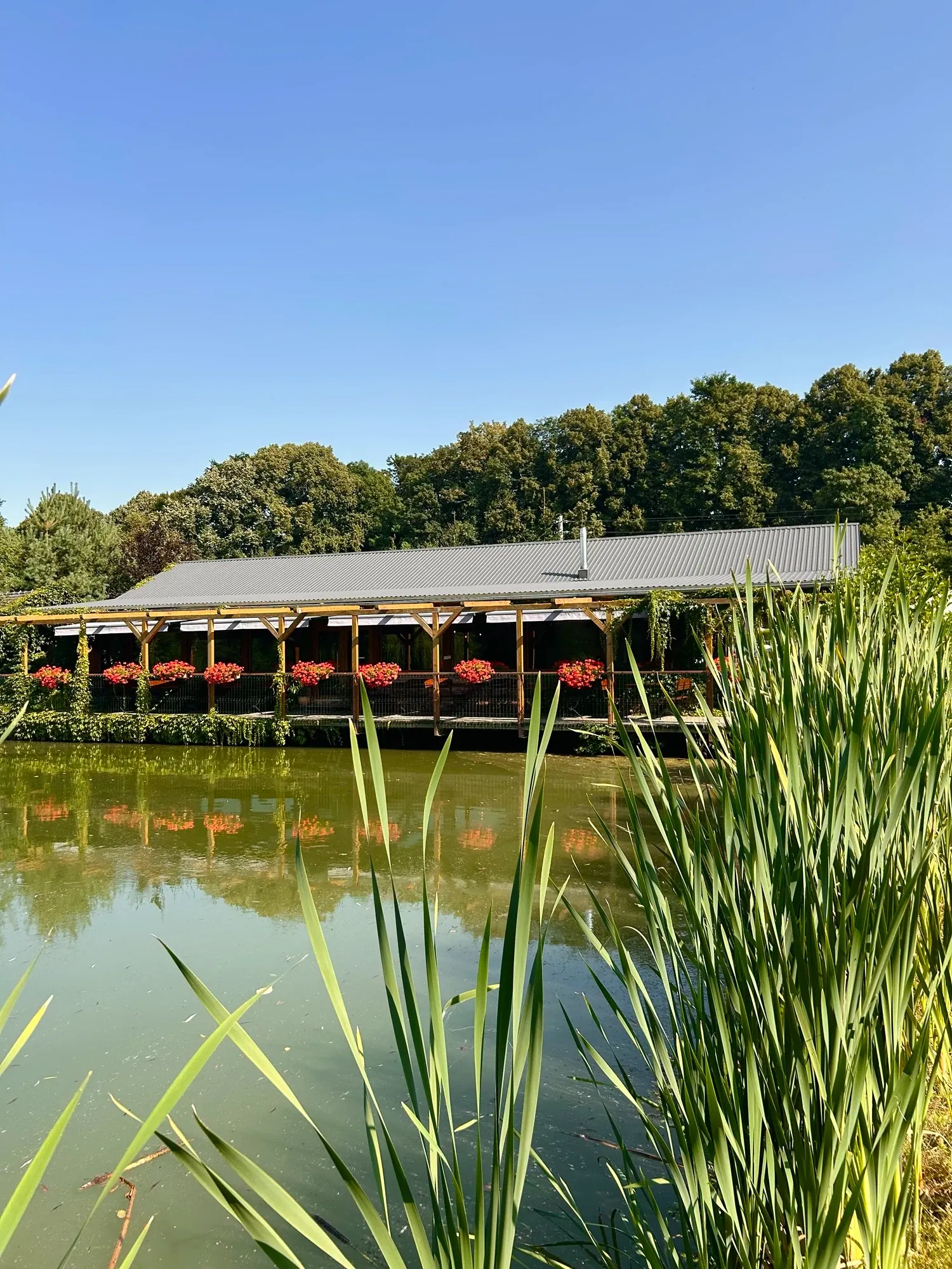Zieleń W Dolinie Białej z widokiem na staw