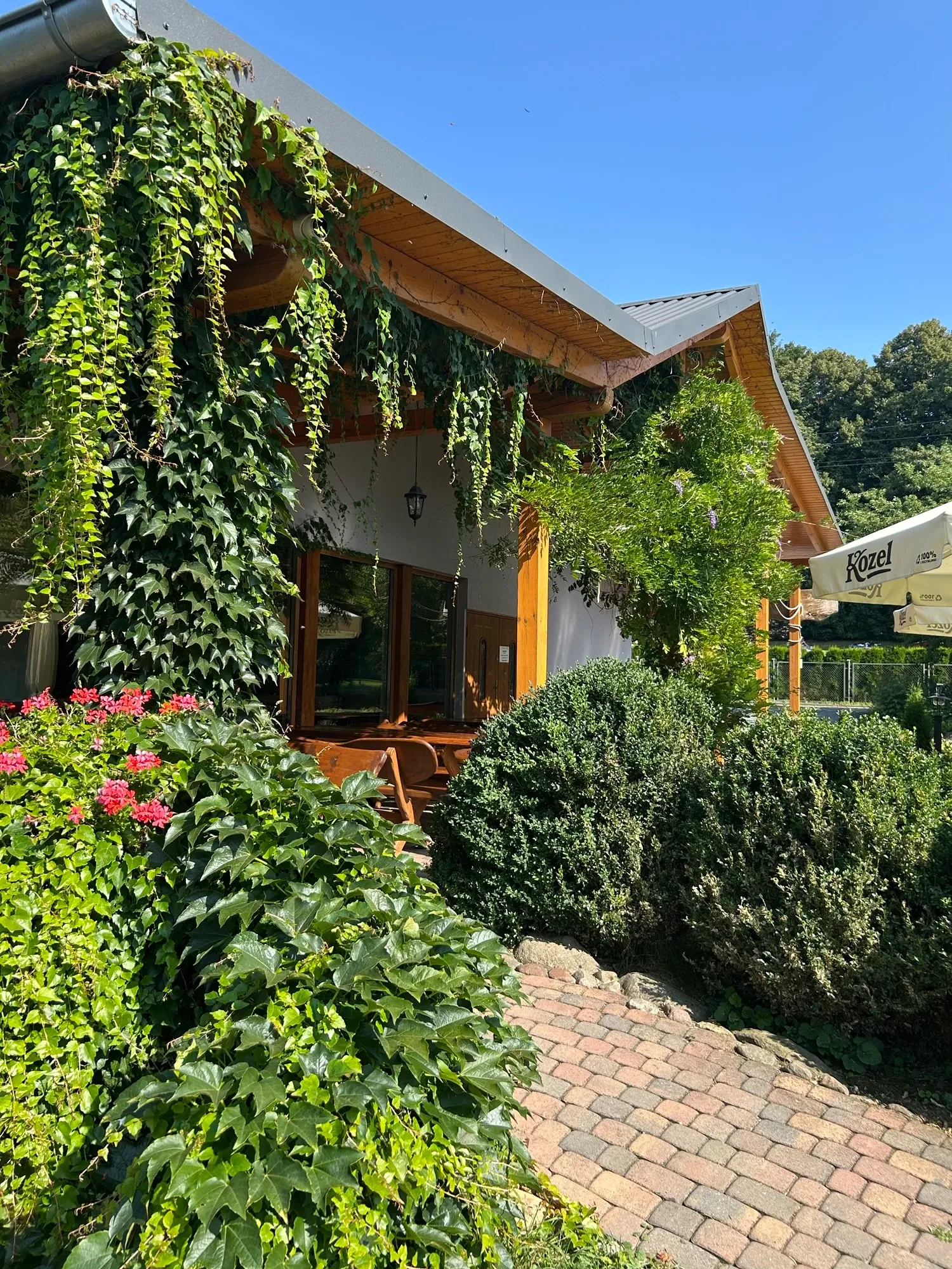 Zieleń przy wejściu do smażalni ryb W Dolinie Białej